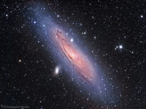 Andromedia Galaxy